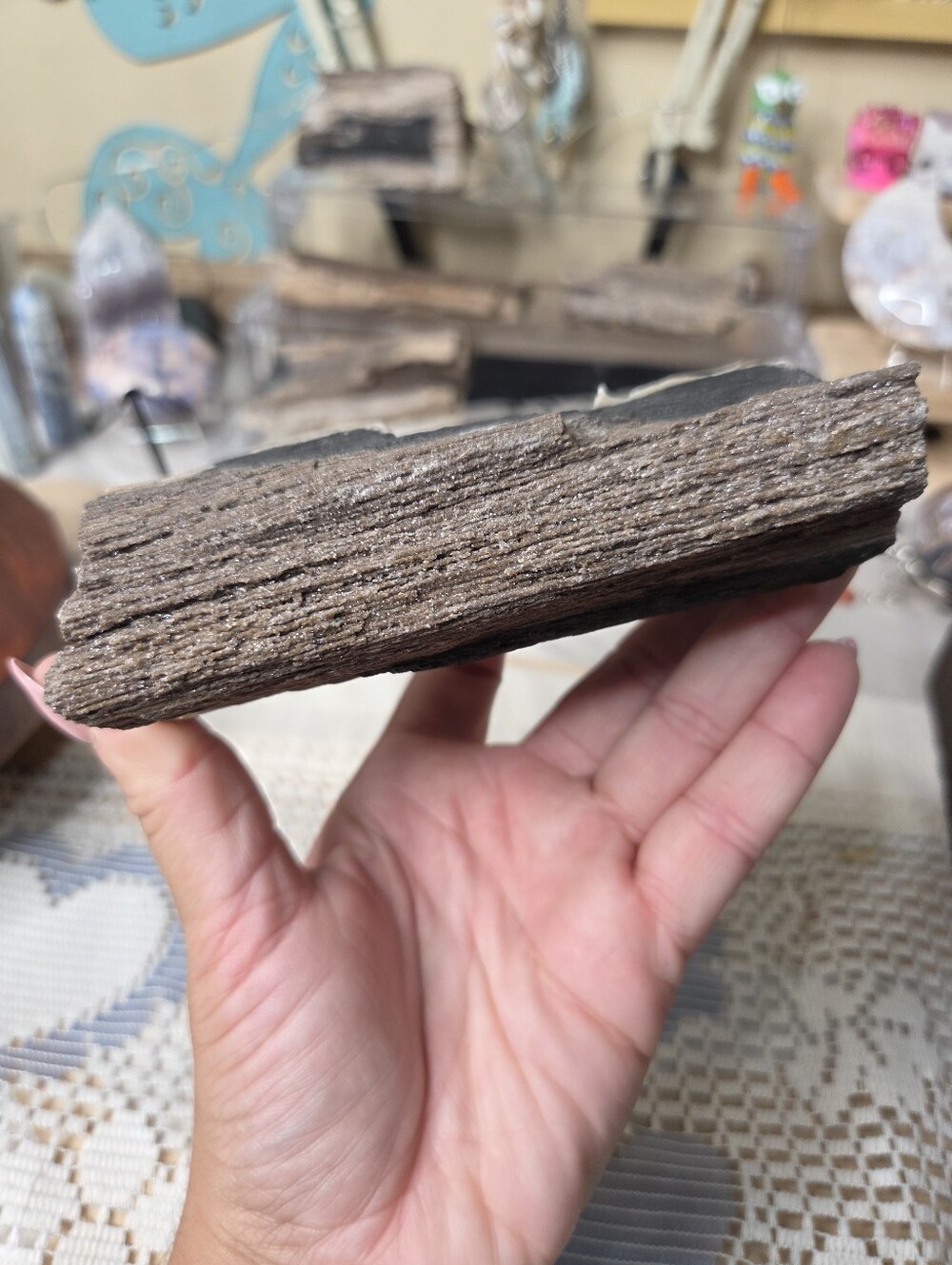 Petrified Wood (A) 5 In 1lb ( Deep Grounding)